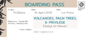 The author wanted a mock boarding pass as marketing collateral for a travel memoir.
